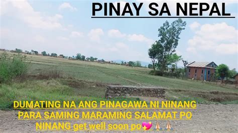 Ang Pasas ni Ninang .